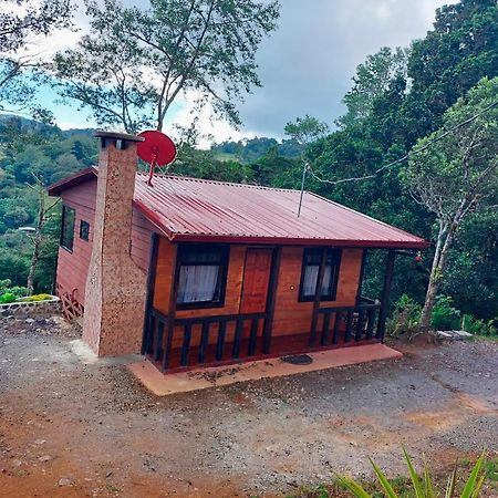 Las Bromelias Lodge Paso Macho Bagian luar foto
