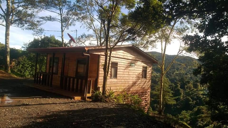 Las Bromelias Lodge Paso Macho Bagian luar foto