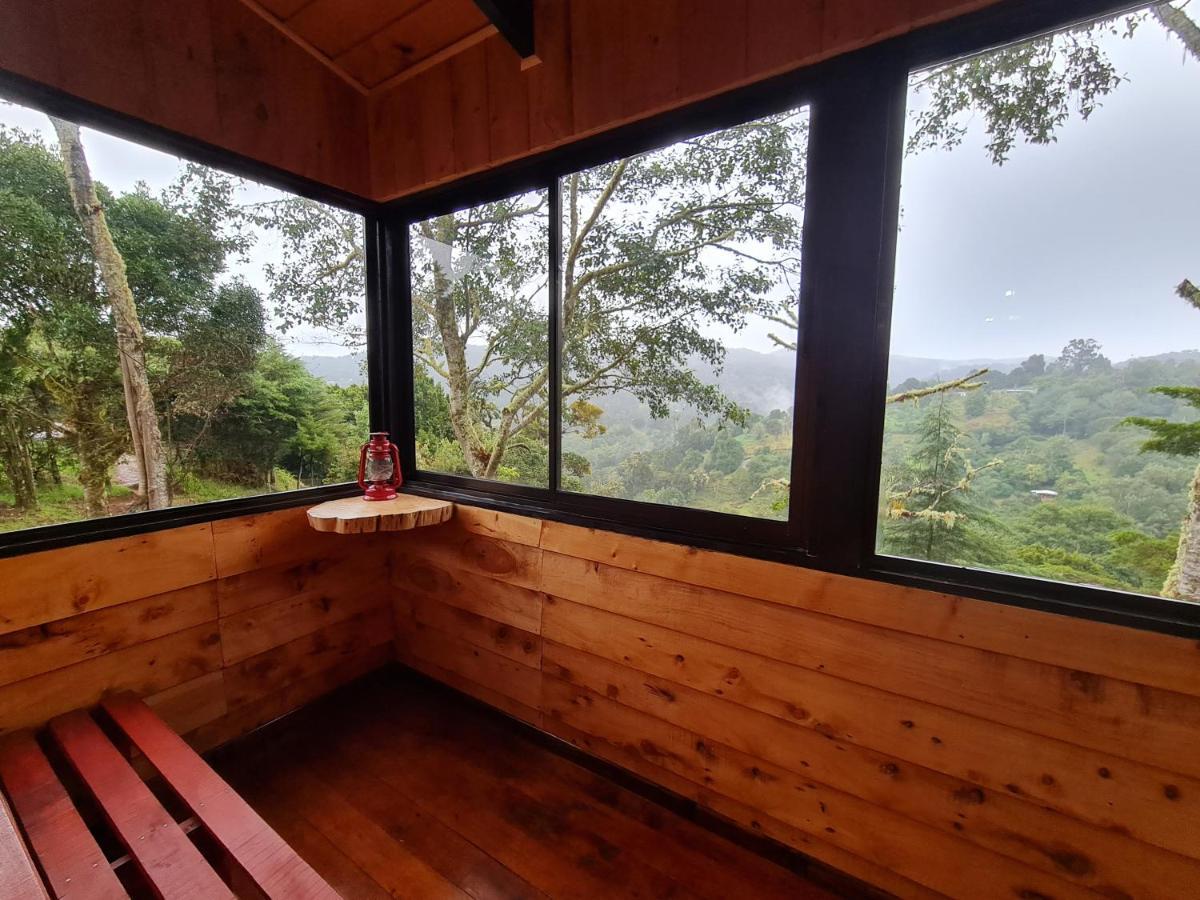 Las Bromelias Lodge Paso Macho Bagian luar foto