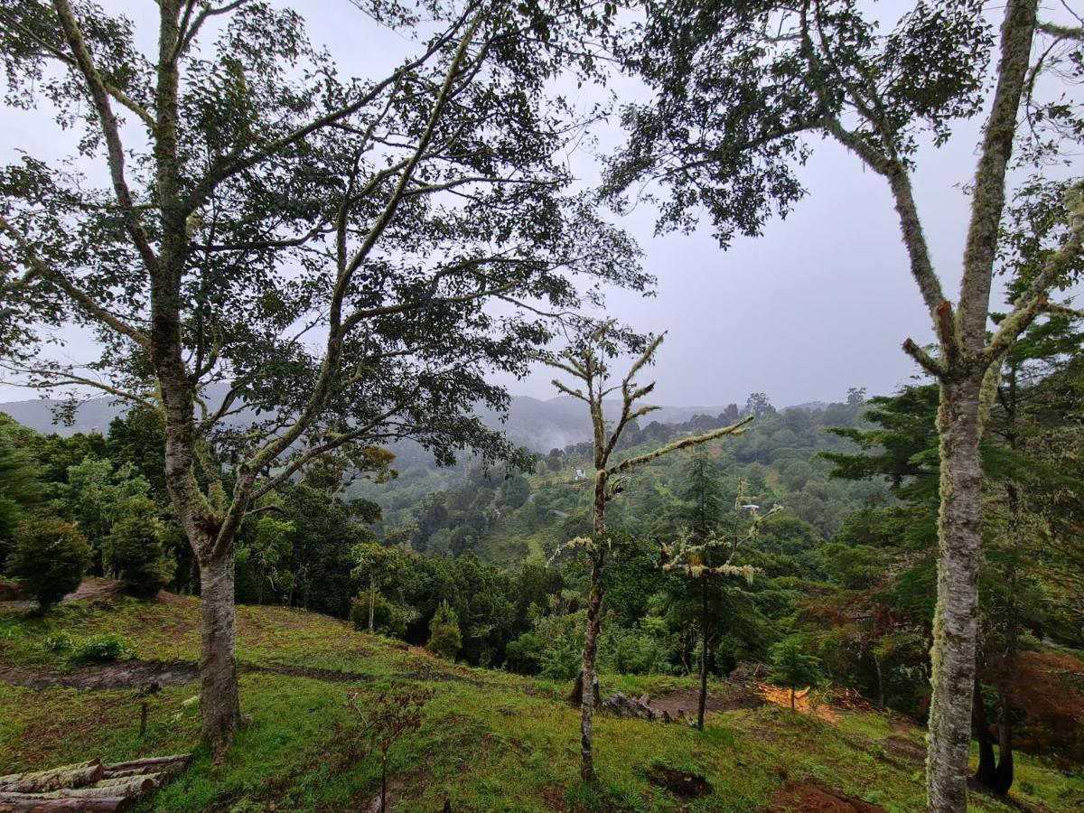Las Bromelias Lodge Paso Macho Bagian luar foto