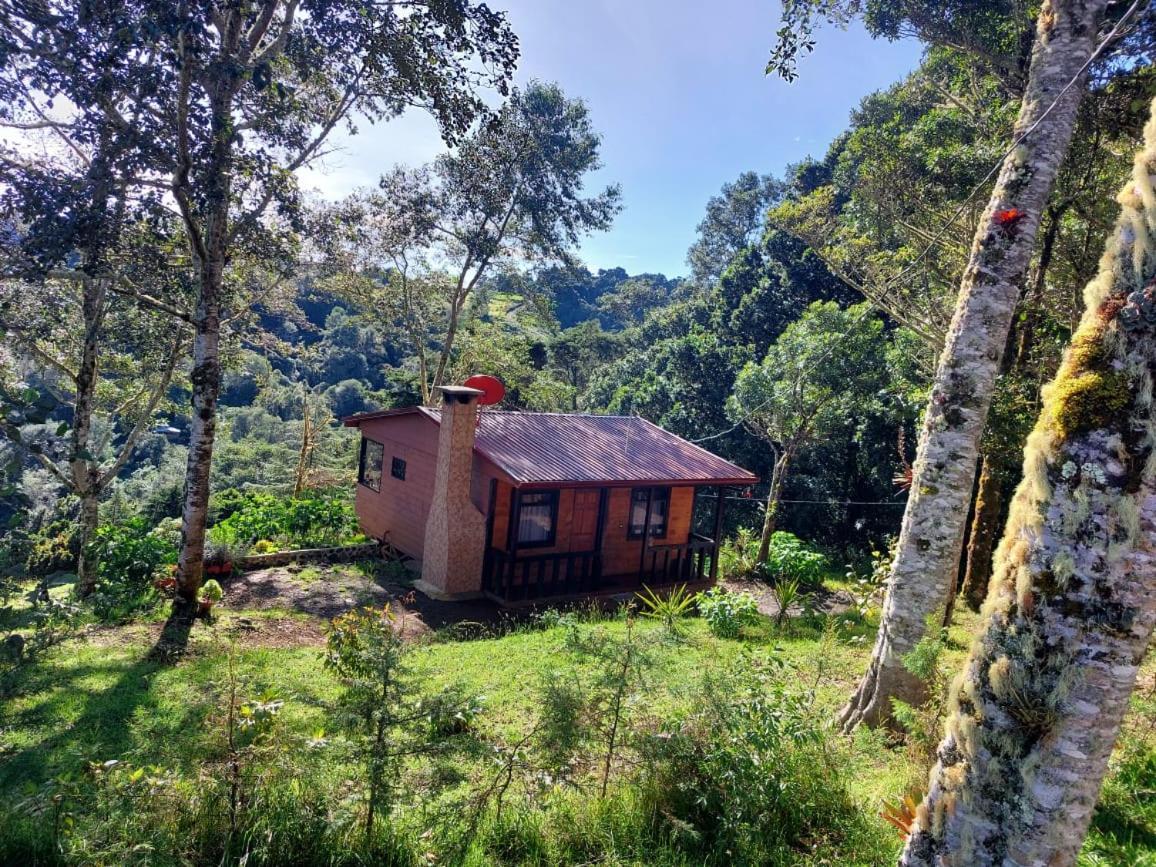 Las Bromelias Lodge Paso Macho Bagian luar foto