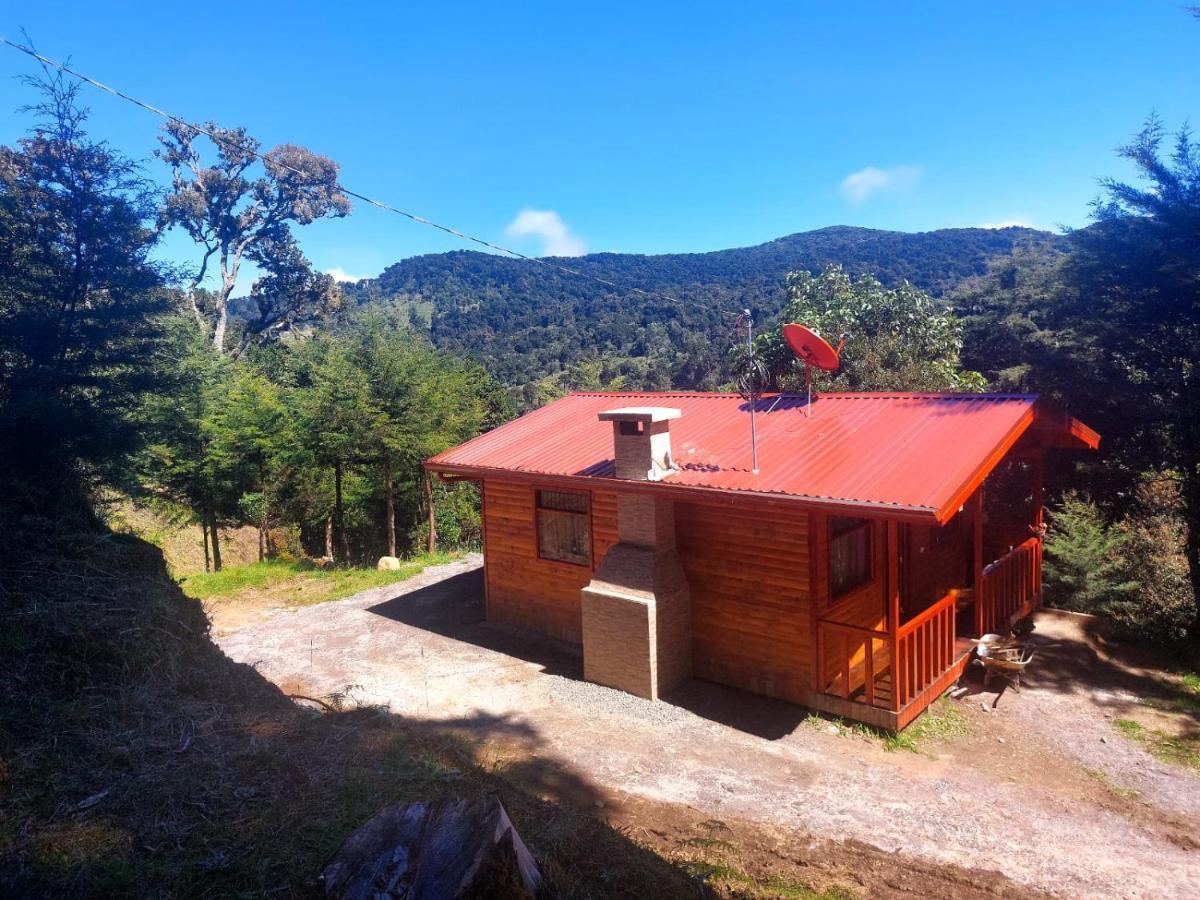 Las Bromelias Lodge Paso Macho Bagian luar foto