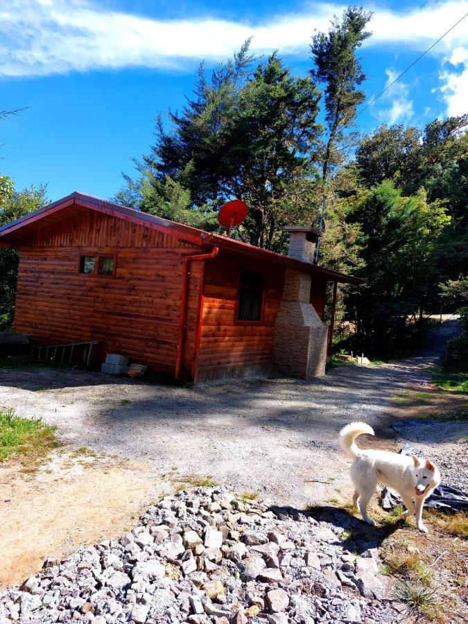 Las Bromelias Lodge Paso Macho Bagian luar foto
